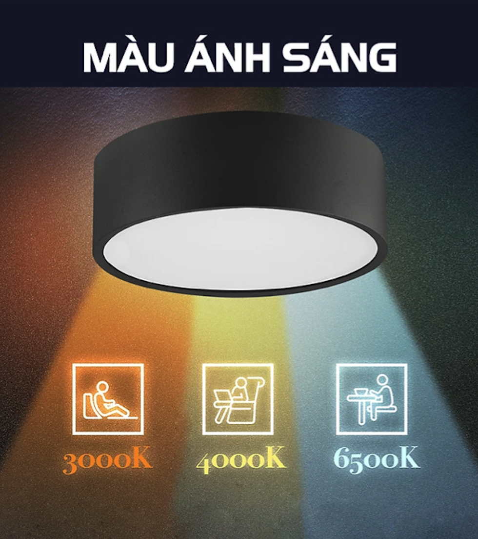LON - MÂM NỔI